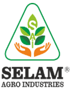 Selam Logo