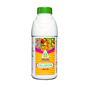 MicMax Product Image